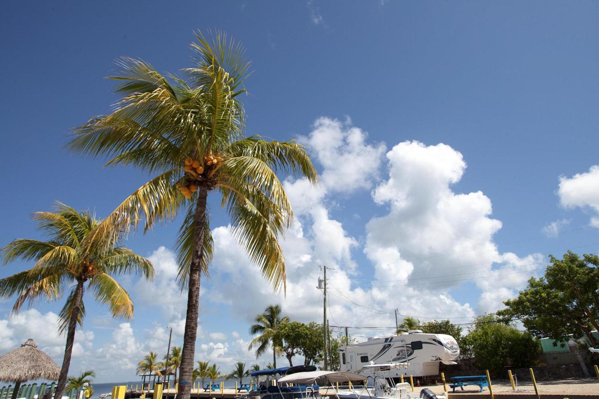 Hotel Kings Kamp Key Largo Exteriér fotografie